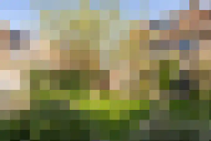 Kon Wilhelminastraat 17 Bunnik thumbnail 5