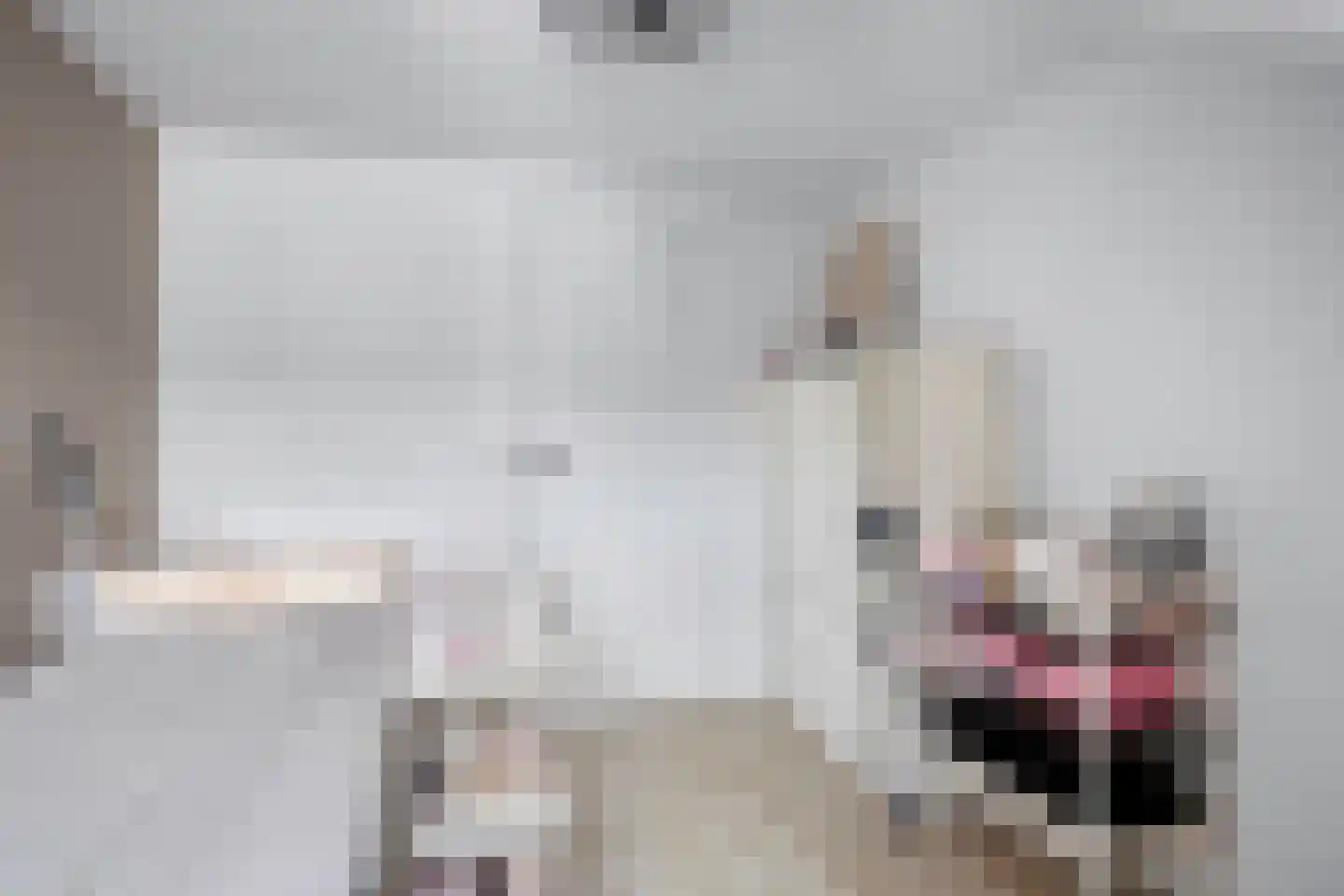 Kon Wilhelminastraat 17 Yerseke thumbnail 15
