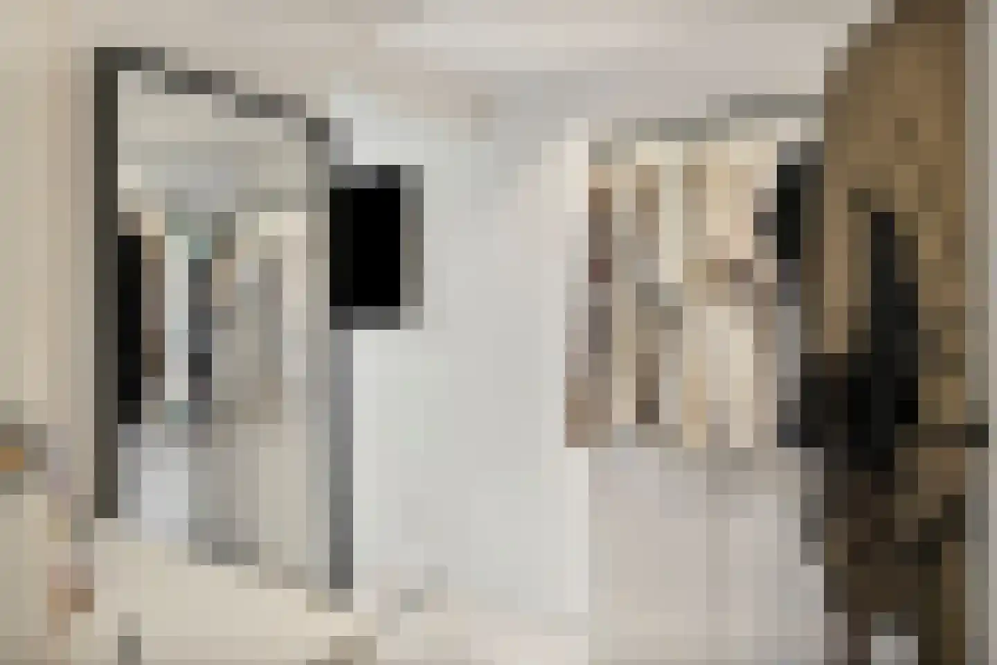 Kon Wilhelminastraat 17 Yerseke thumbnail 16