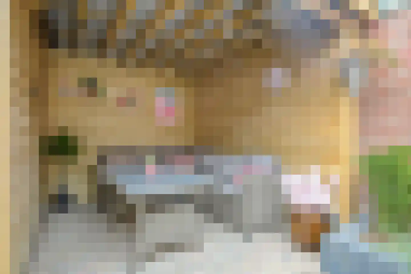Kon Wilhelminastraat 17 Yerseke thumbnail 22