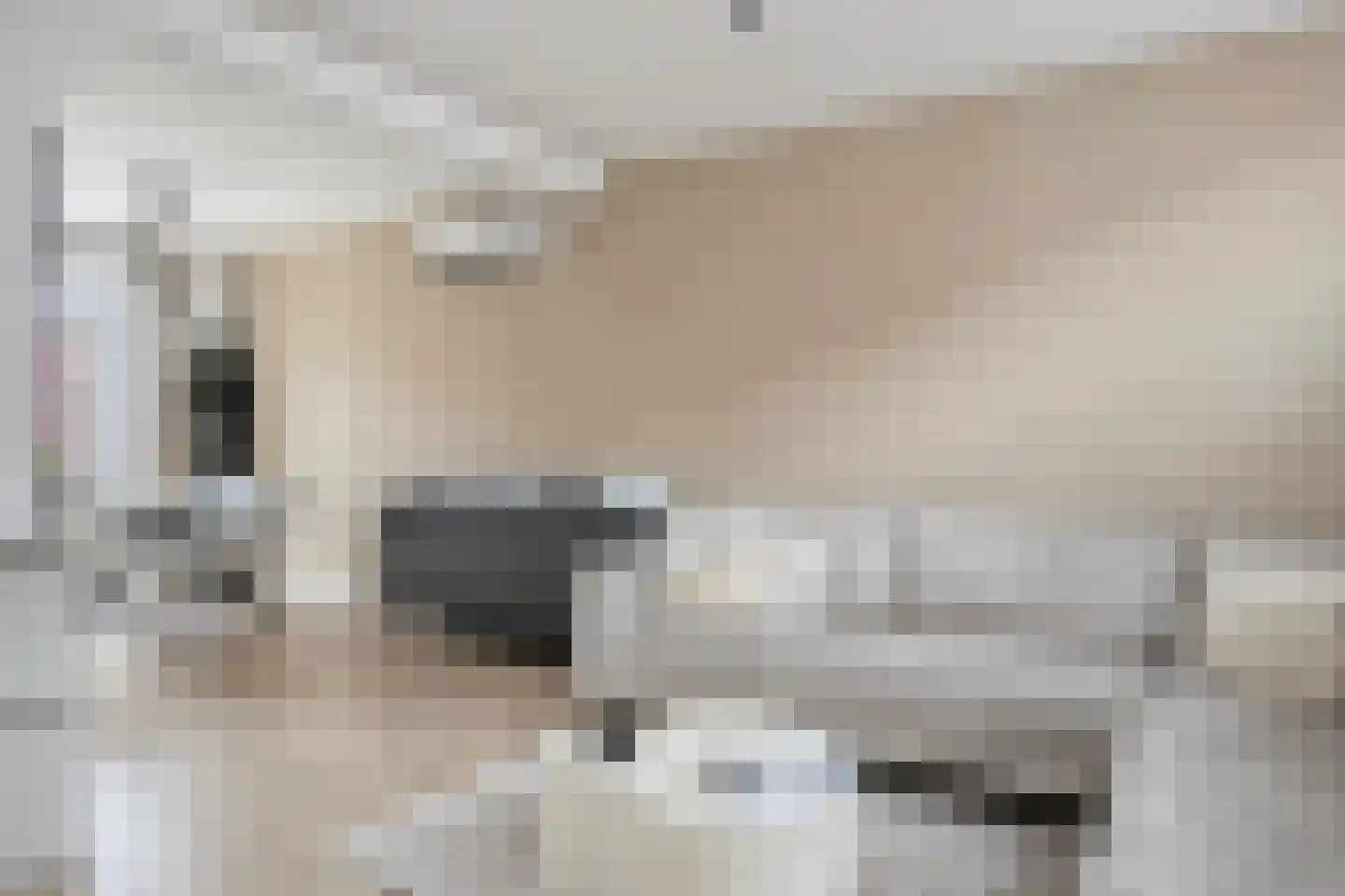 Kon Wilhelminastraat 17 Yerseke thumbnail 5