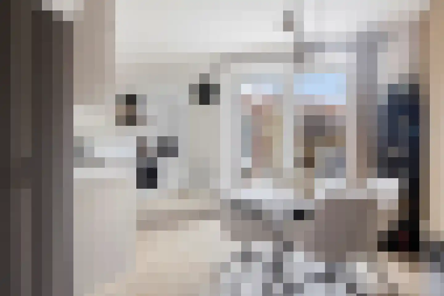 Kon Wilhelminastraat 17 Yerseke thumbnail 7