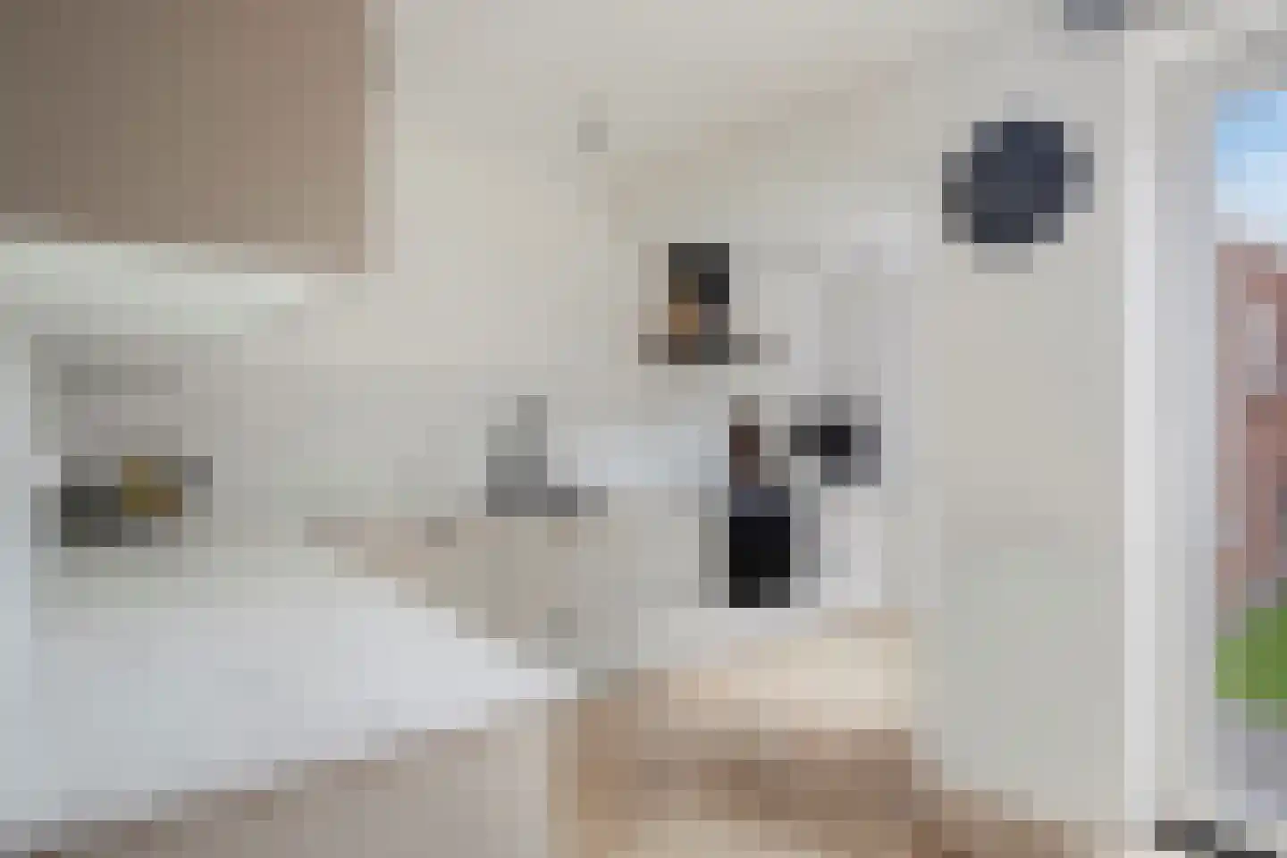Kon Wilhelminastraat 17 Yerseke thumbnail 9
