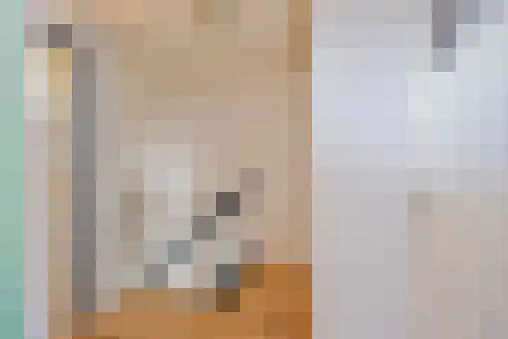Kon Wilhelminastraat 23 Yerseke thumbnail 11