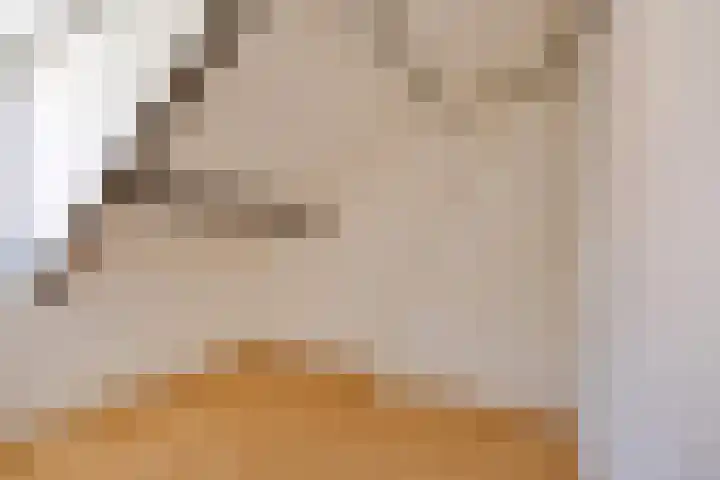 Kon Wilhelminastraat 23 Yerseke thumbnail 14