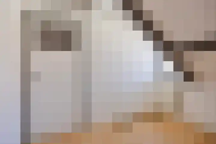 Kon Wilhelminastraat 23 Yerseke thumbnail 15