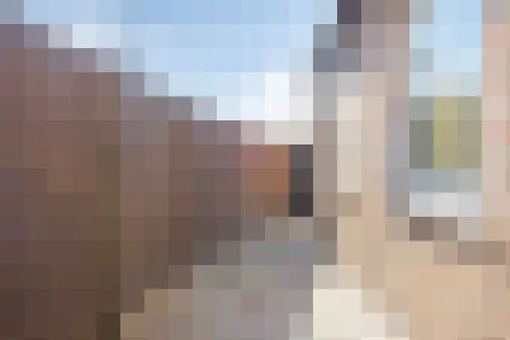 Kon Wilhelminastraat 23 Yerseke thumbnail 17