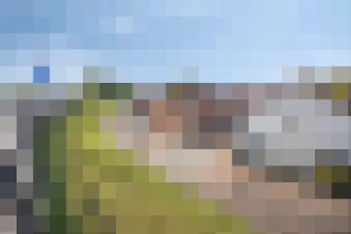 Kon Wilhelminastraat 23 Yerseke thumbnail 21