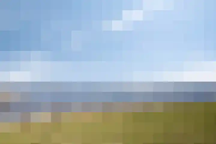 Kon Wilhelminastraat 23 Yerseke thumbnail 22