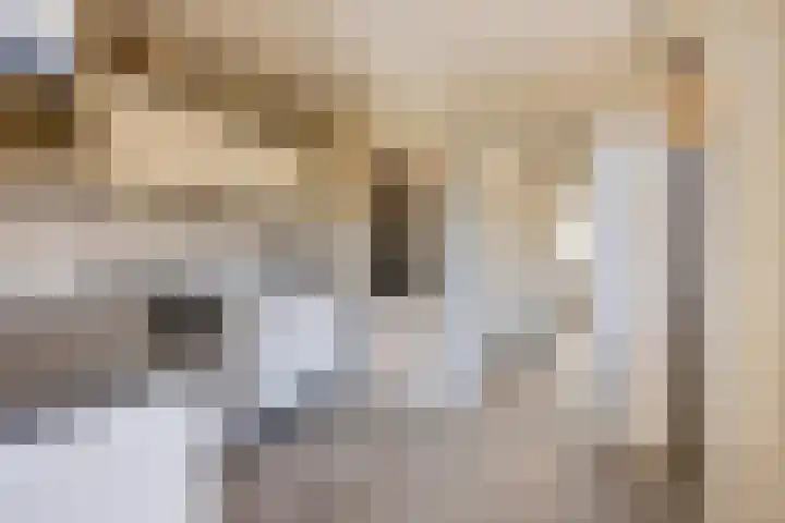 Kon Wilhelminastraat 23 Yerseke thumbnail 6