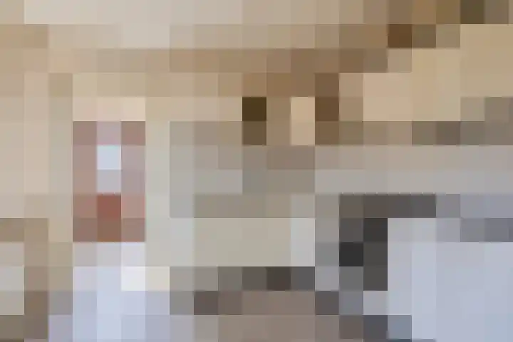 Kon Wilhelminastraat 23 Yerseke thumbnail 8