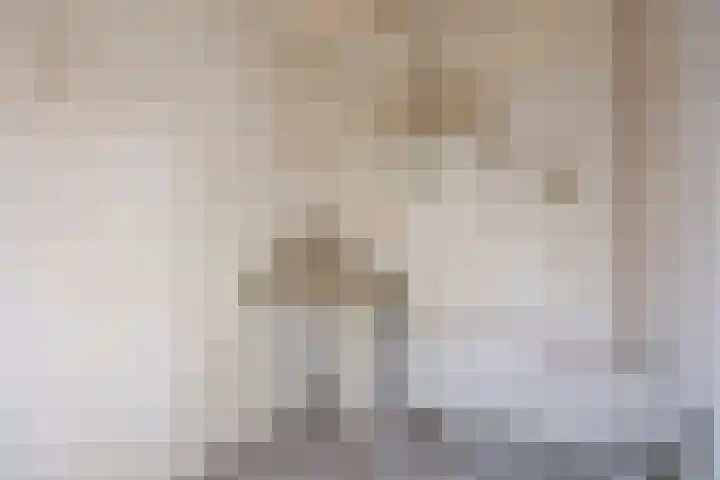 Kon Wilhelminastraat 23 Yerseke thumbnail 9