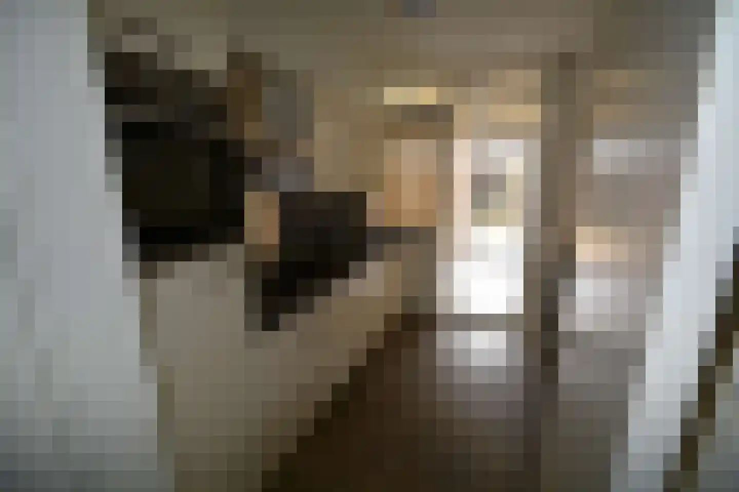 Kon. Wilhelminastraat 32 Westkapelle thumbnail 15