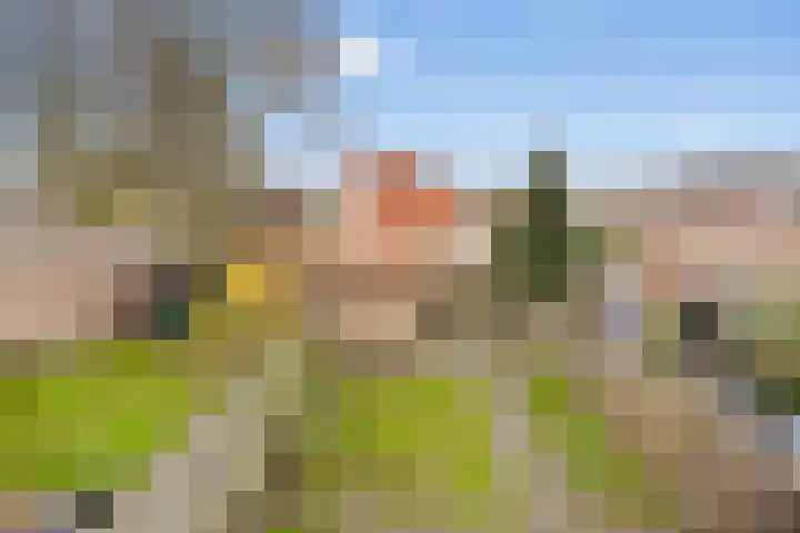 Kon Wilhelminastraat 4 Nieuwerkerk aan den IJssel thumbnail 20