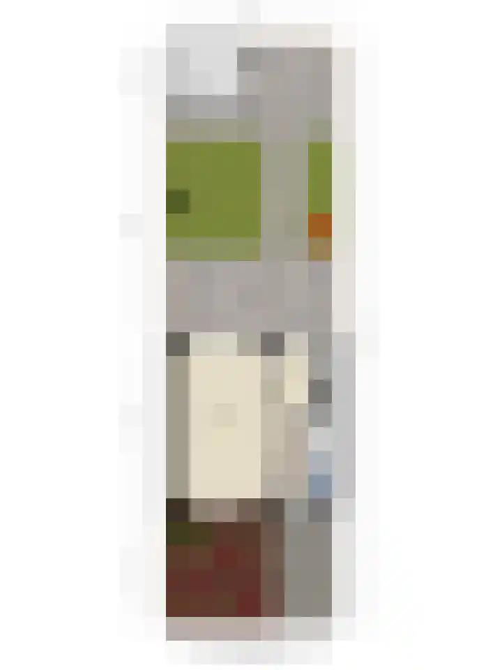 Kon Wilhelminastraat 4 Nieuwerkerk aan den IJssel thumbnail 23