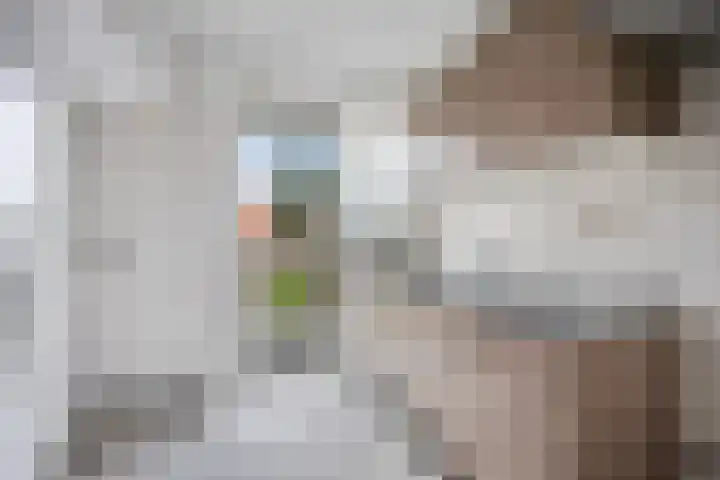 Kon Wilhelminastraat 4 Nieuwerkerk aan den IJssel thumbnail 9