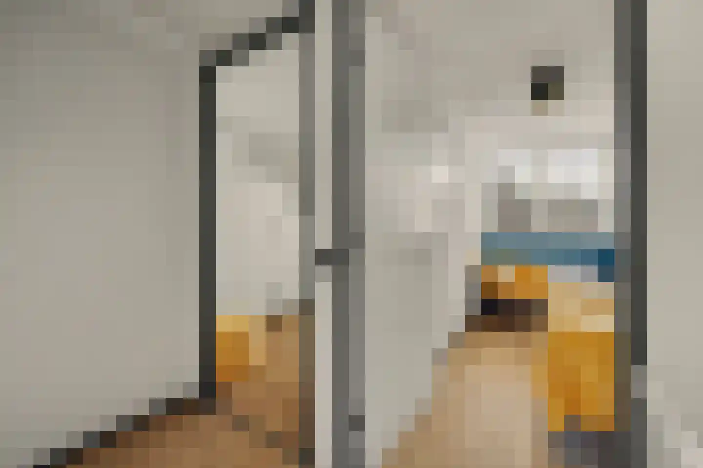 Kon Wilhelminastraat 6 Yerseke thumbnail 23