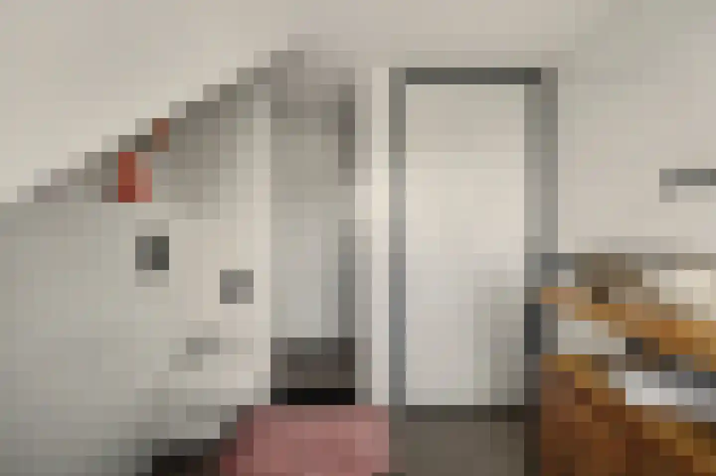 Kon Wilhelminastraat 6 Yerseke thumbnail 29