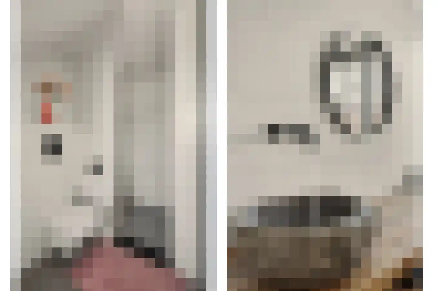 Kon Wilhelminastraat 6 Yerseke thumbnail 31