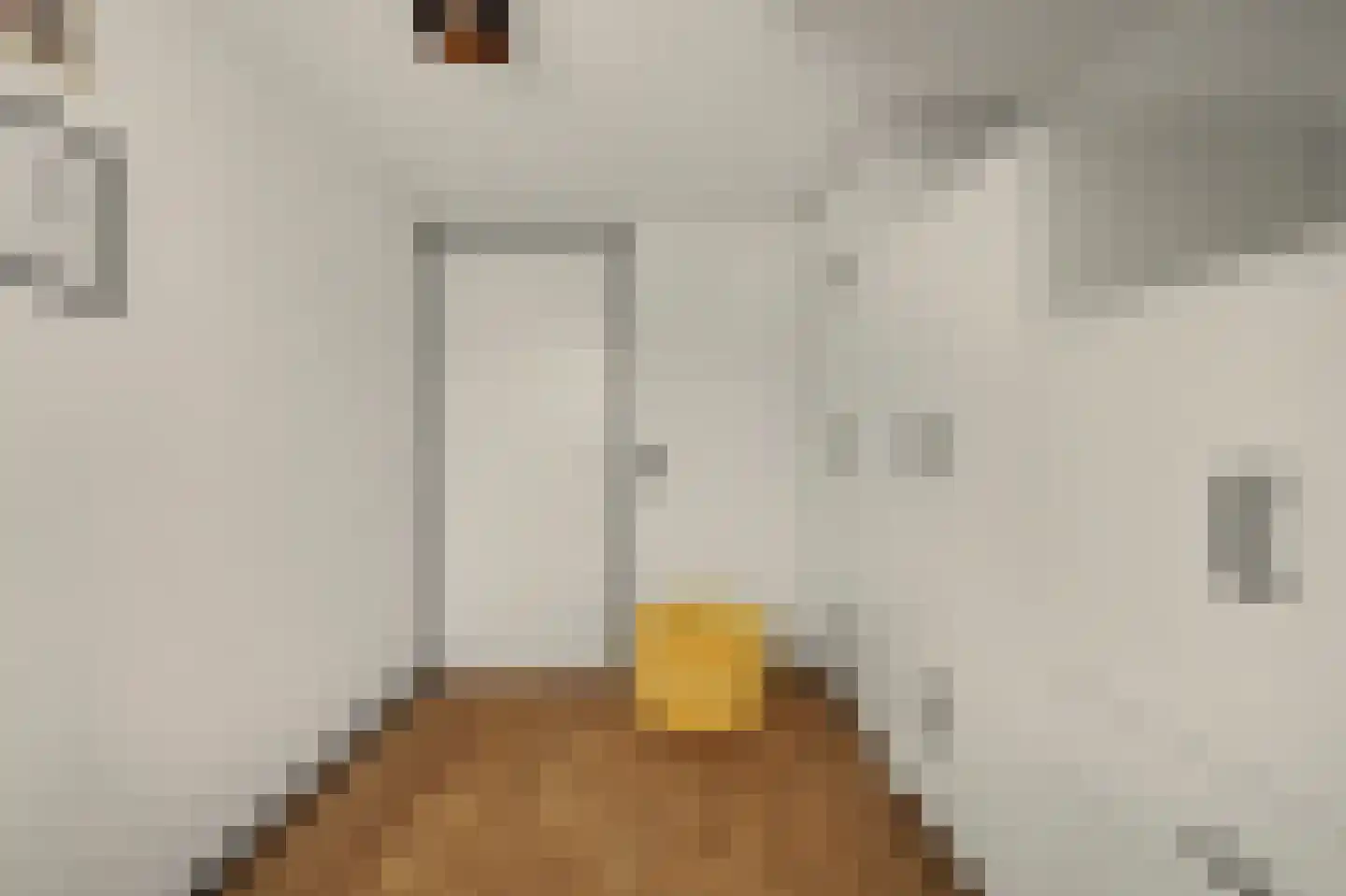 Kon Wilhelminastraat 6 Yerseke thumbnail 33