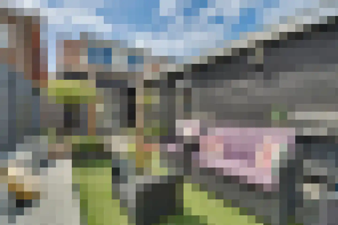 Kon Wilhelminastraat 6 Yerseke thumbnail 40