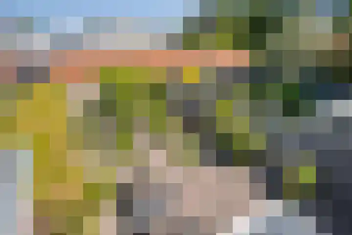 Kon Wilhelminaweg 105 Amerongen thumbnail 15