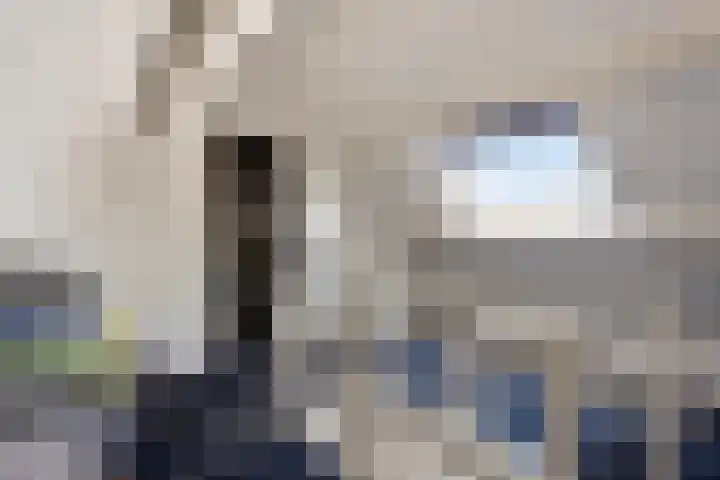 Kon Wilhelminaweg 105 Amerongen thumbnail 18