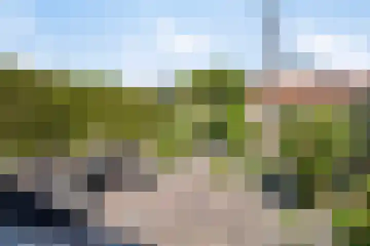 Kon Wilhelminaweg 105 Amerongen thumbnail 20