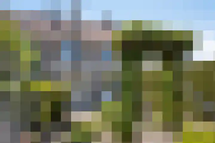 Kon Wilhelminaweg 105 Amerongen thumbnail 22