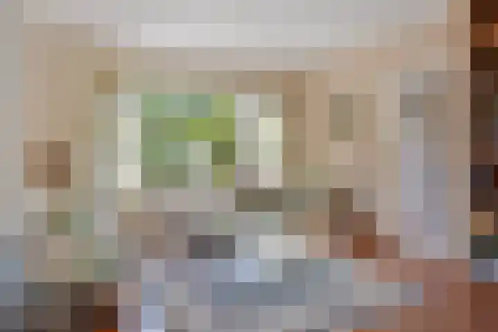 Kon Wilhelminaweg 105 Amerongen thumbnail 4