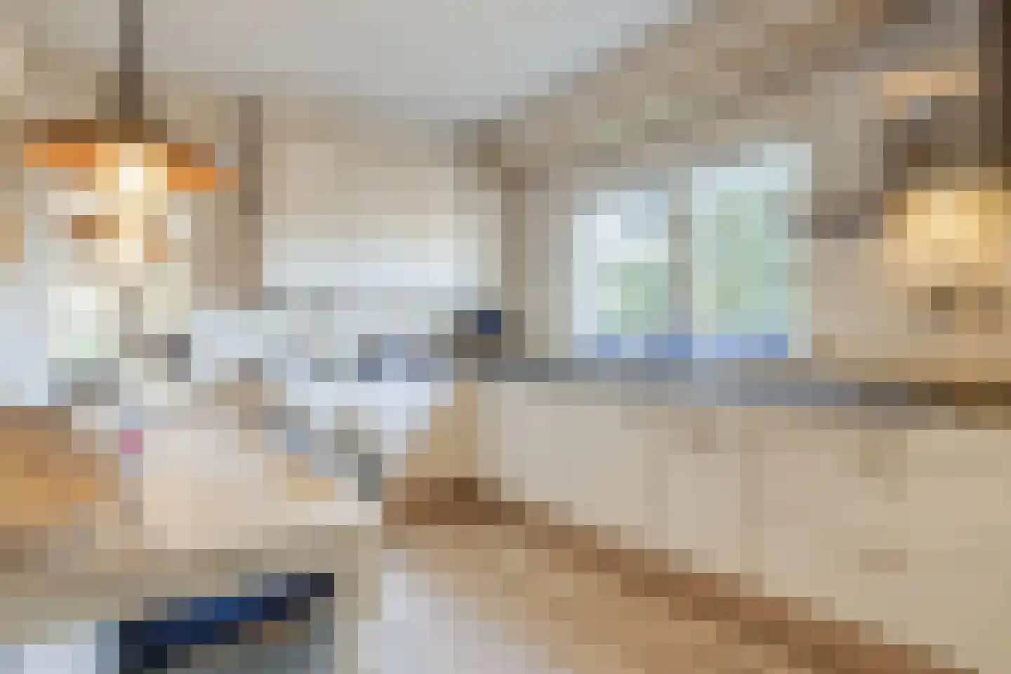 Kon Wilhelminaweg 24 Amerongen thumbnail 17
