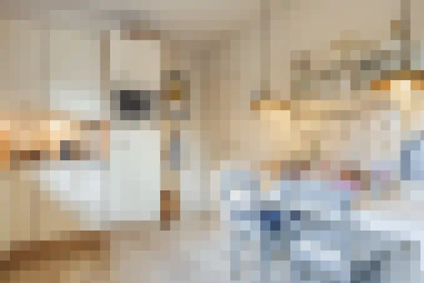 Kon Wilhelminaweg 24 Amerongen thumbnail 18