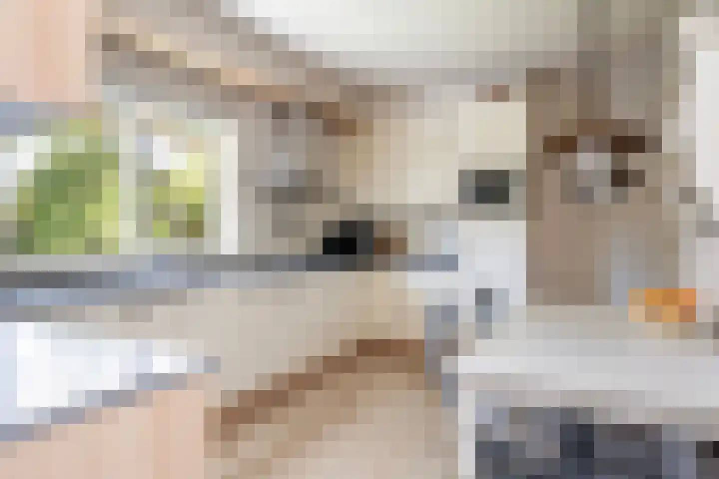 Kon Wilhelminaweg 24 Amerongen thumbnail 18