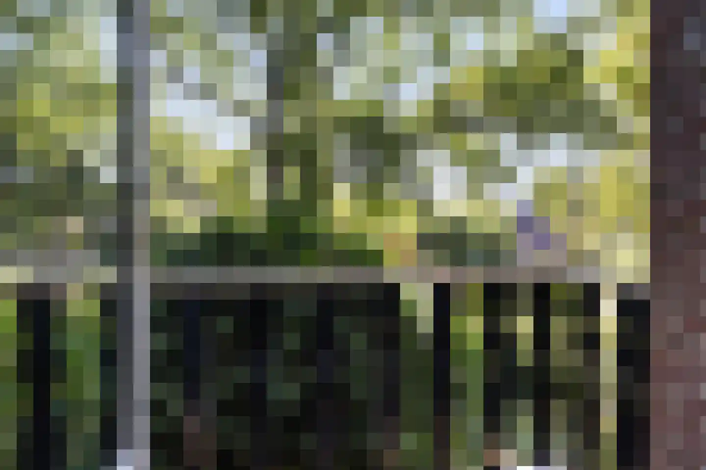 Kon Wilhelminaweg 24 Amerongen thumbnail 24
