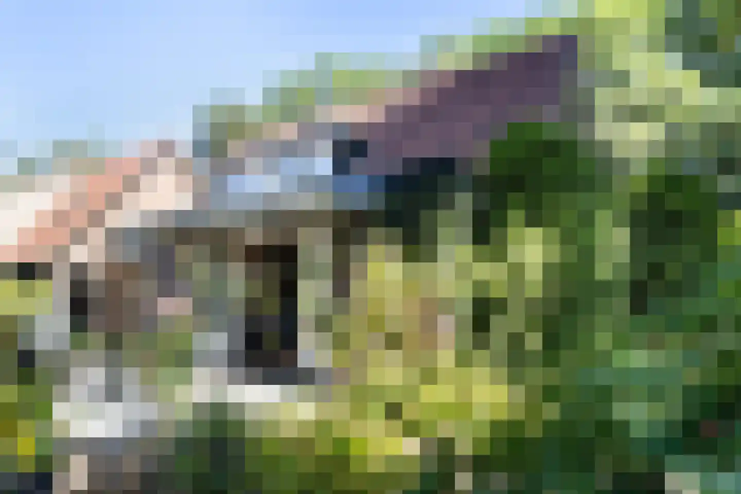 Kon Wilhelminaweg 24 Amerongen thumbnail 32