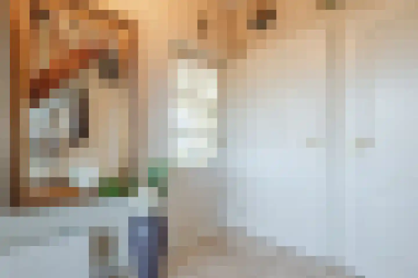 Kon Wilhelminaweg 24 Amerongen thumbnail 32