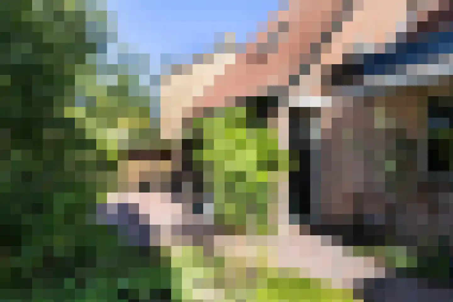 Kon Wilhelminaweg 24 Amerongen thumbnail 34