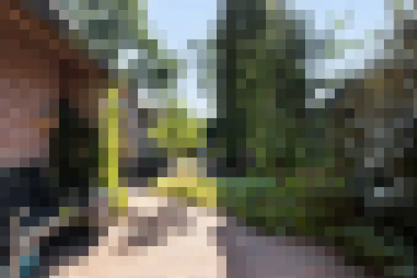 Kon Wilhelminaweg 24 Amerongen thumbnail 35