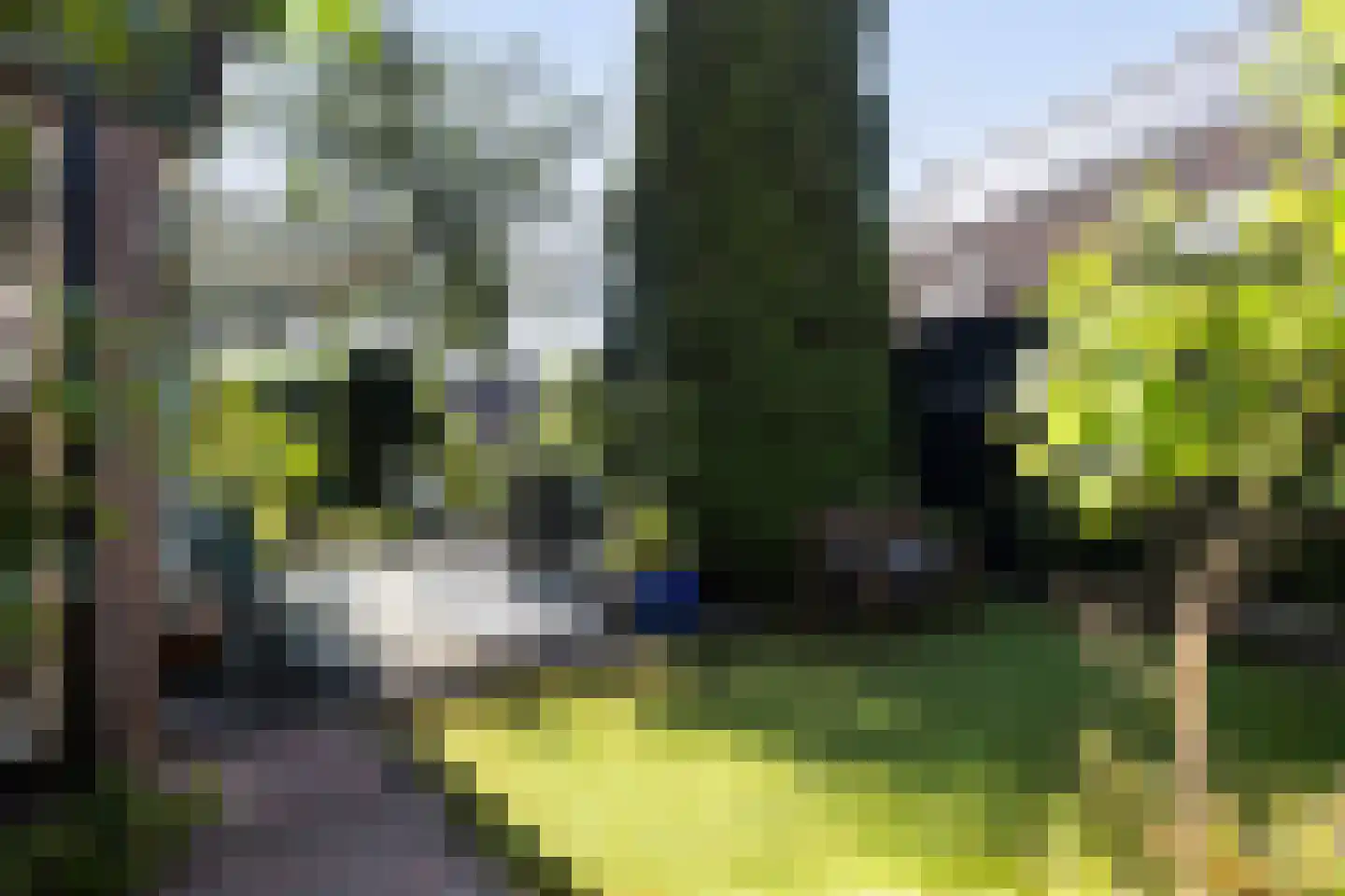 Kon Wilhelminaweg 24 Amerongen thumbnail 36