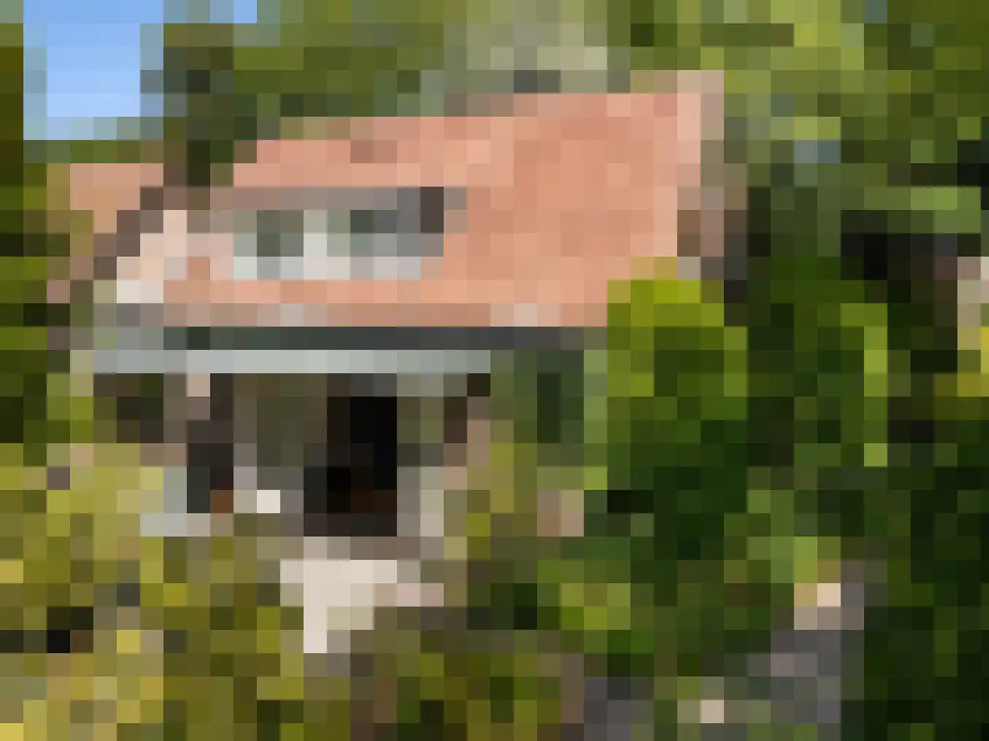 Kon Wilhelminaweg 24 Amerongen thumbnail 40