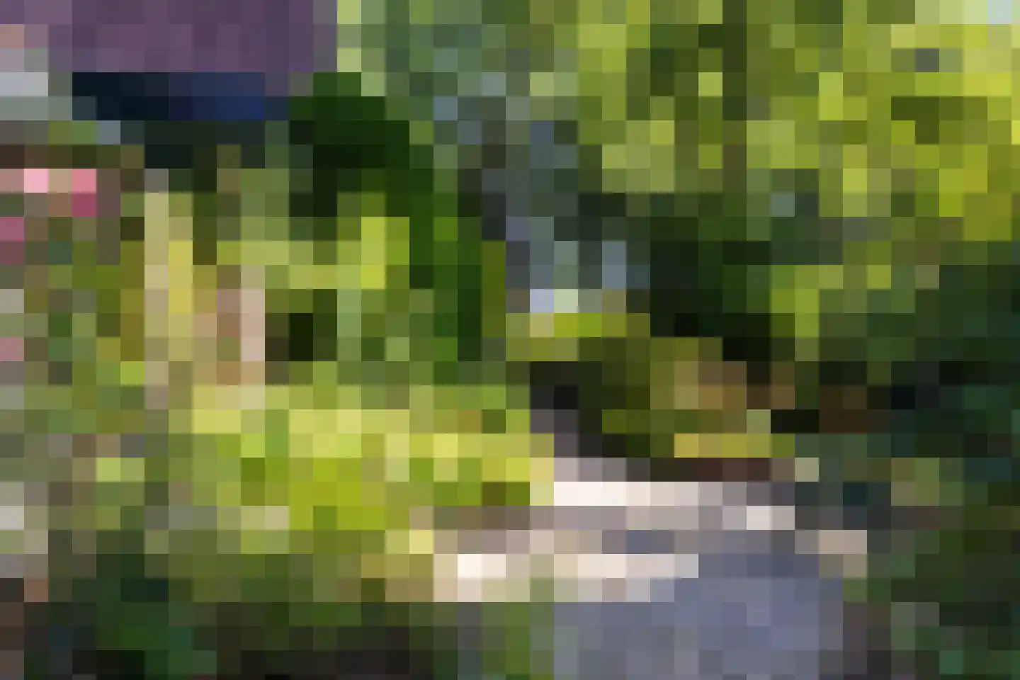 Kon Wilhelminaweg 24 Amerongen thumbnail 41