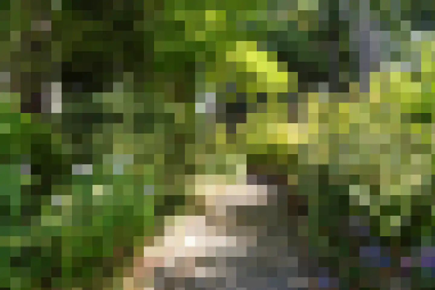 Kon Wilhelminaweg 24 Amerongen thumbnail 42
