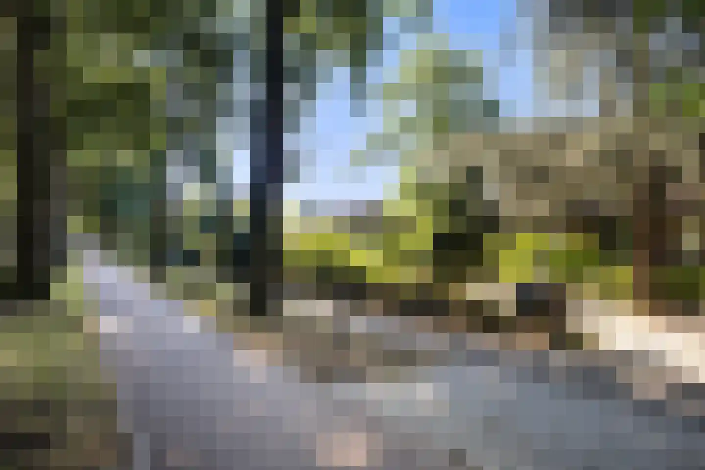 Kon Wilhelminaweg 24 Amerongen thumbnail 45