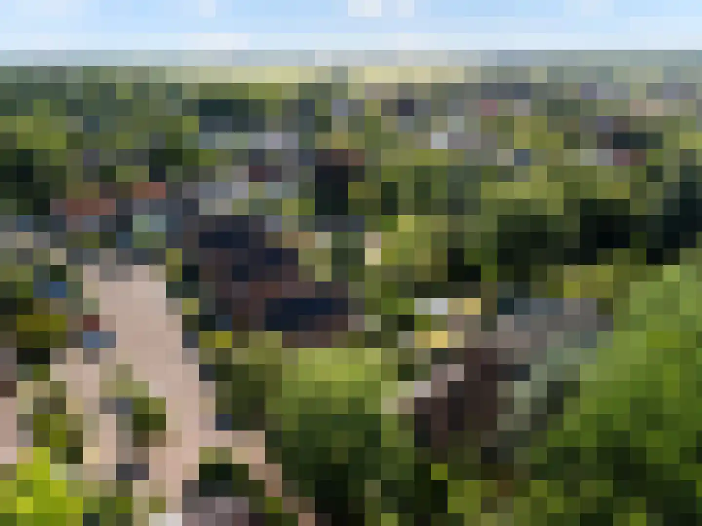 Kon Wilhelminaweg 24 Amerongen thumbnail 46