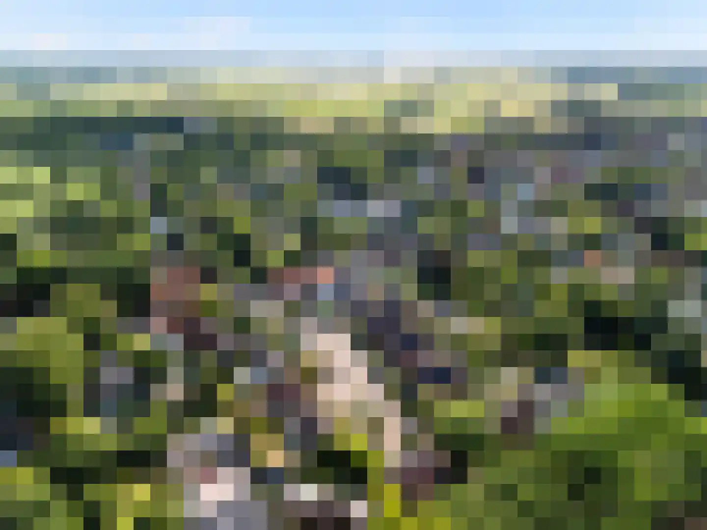 Kon Wilhelminaweg 24 Amerongen thumbnail 47