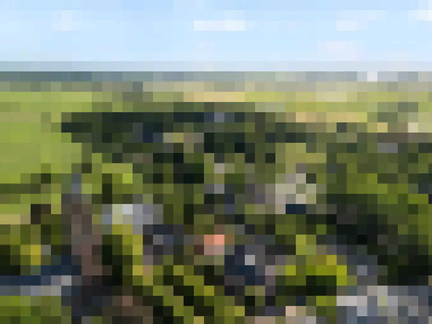 Kon Wilhelminaweg 24 Amerongen thumbnail 49
