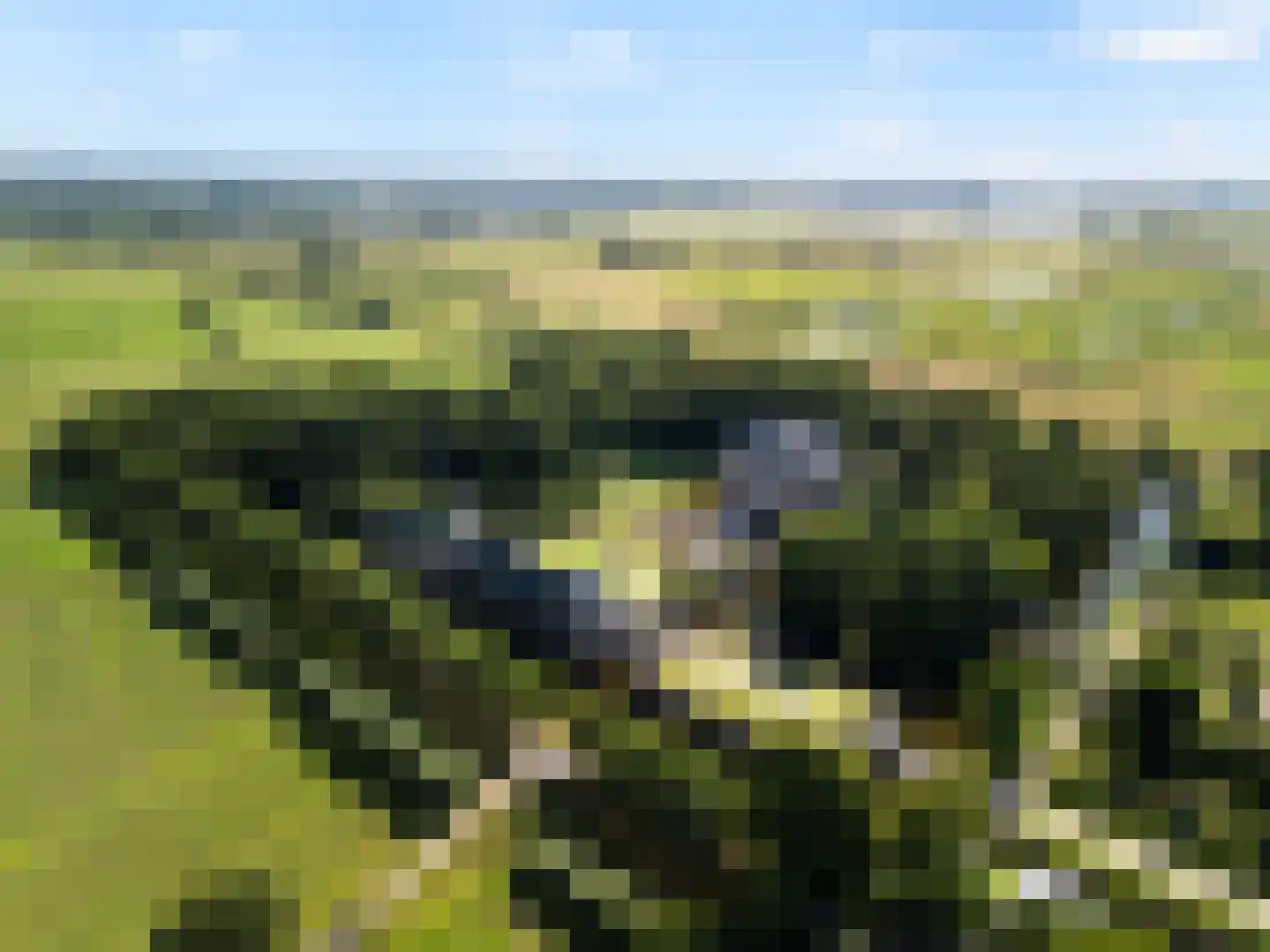 Kon Wilhelminaweg 24 Amerongen thumbnail 50