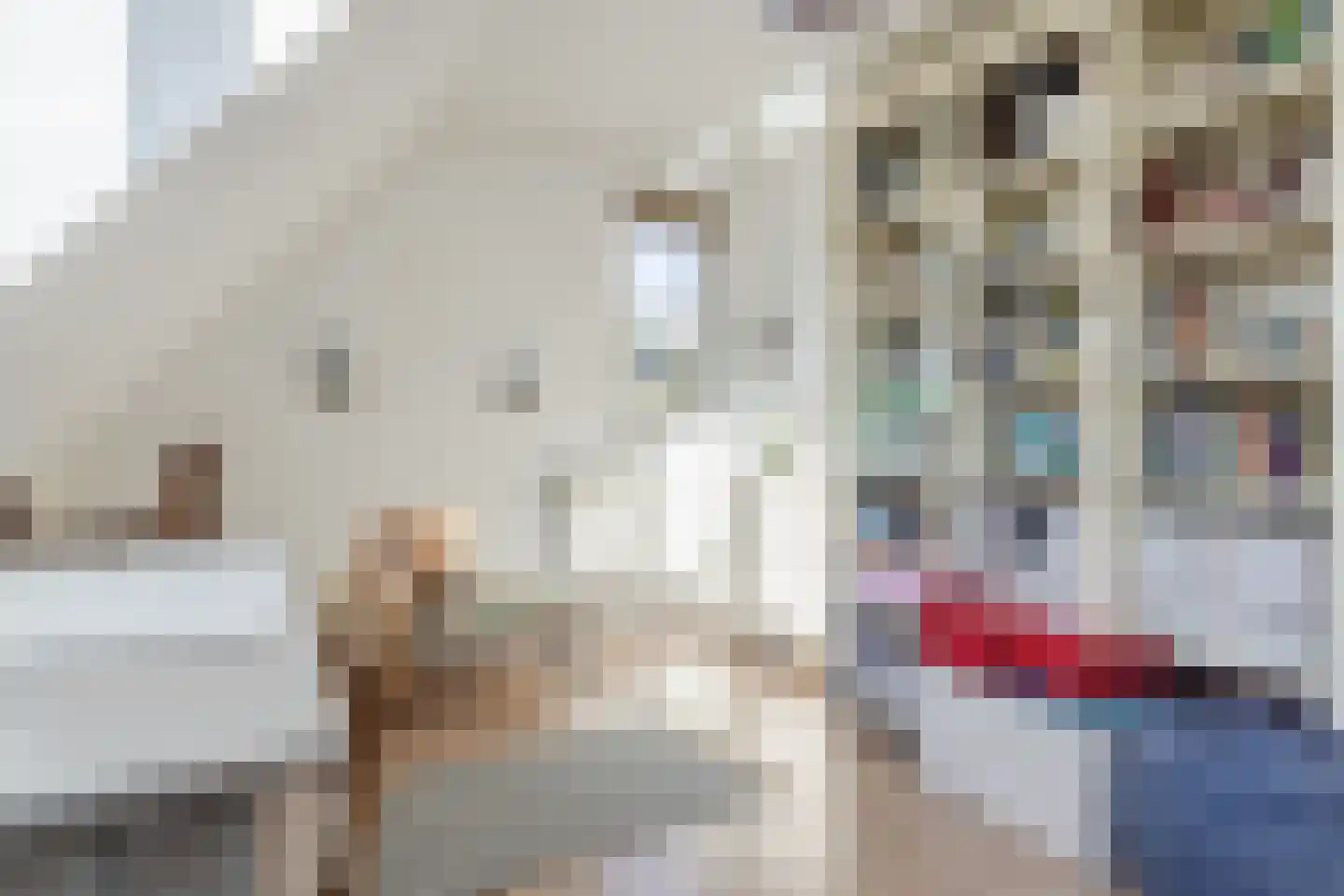 Kon Wilhelminaweg 24 Amerongen thumbnail 51