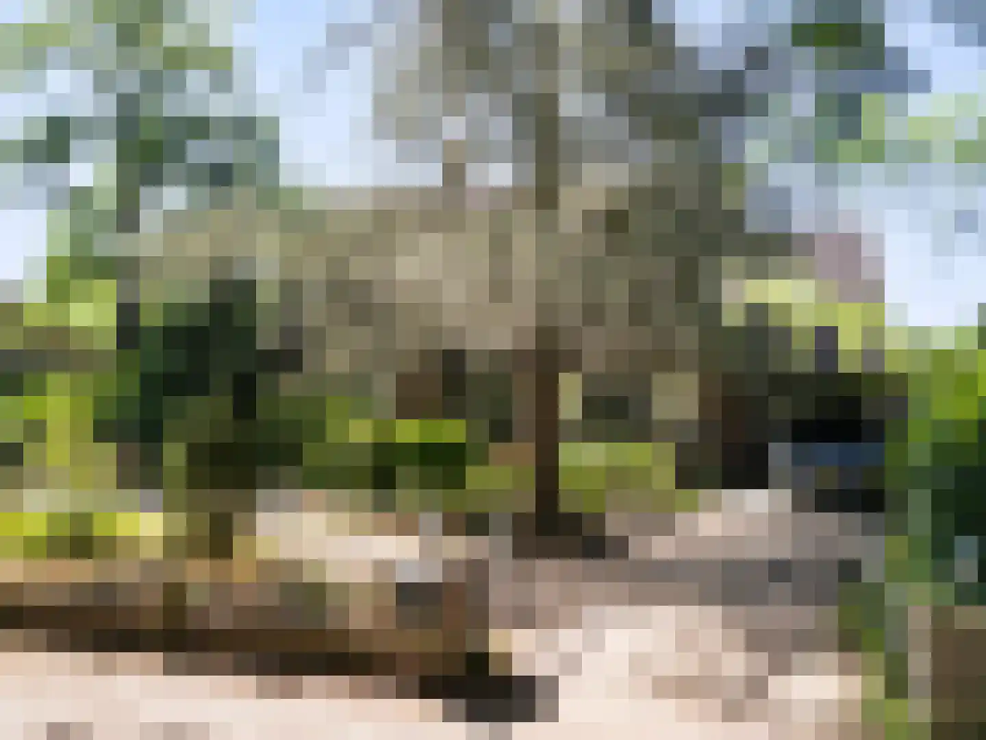 Kon Wilhelminaweg 24 Amerongen thumbnail 6
