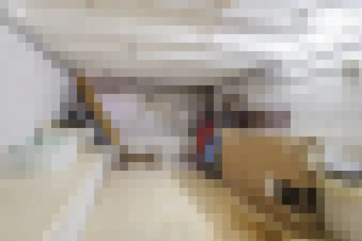 Kon Wilhelminaweg 24 Amerongen thumbnail 65